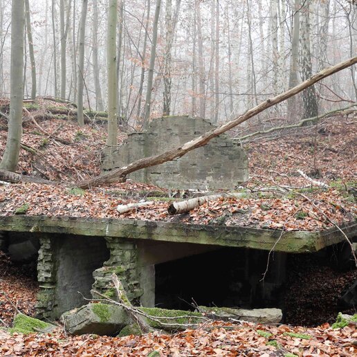 KZ-Gedenkort Neubrandenburg-Waldbau